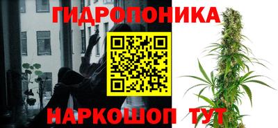 Альфа ПВП Анапа
