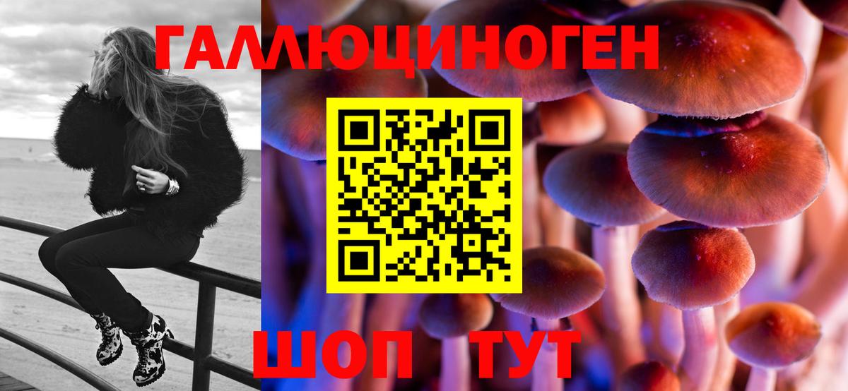 Галлюциногенные грибы мухоморы Губкинский